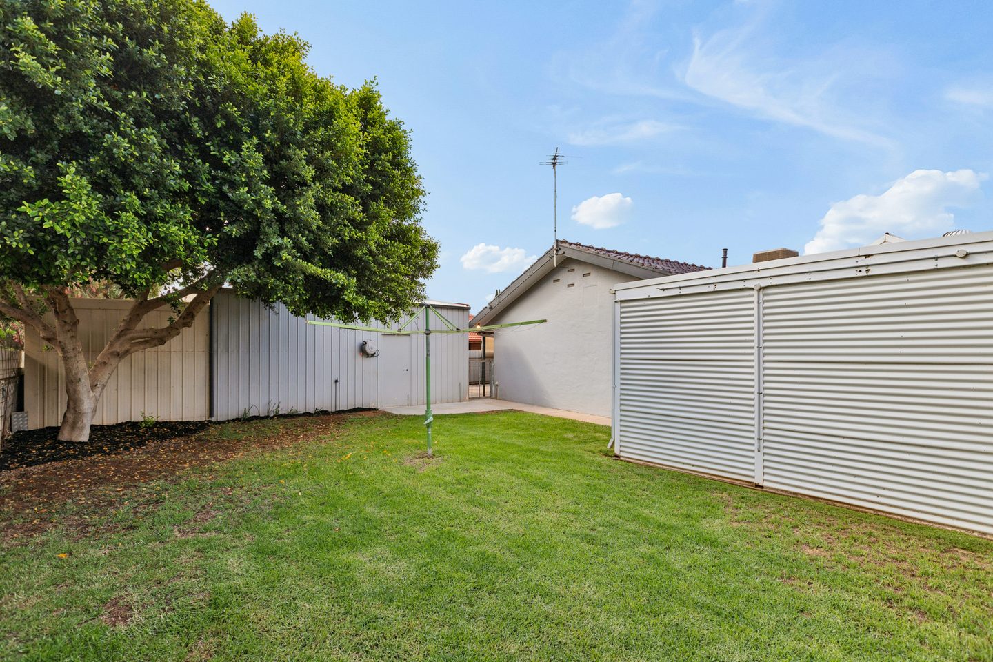 The lawned backyard and shedding